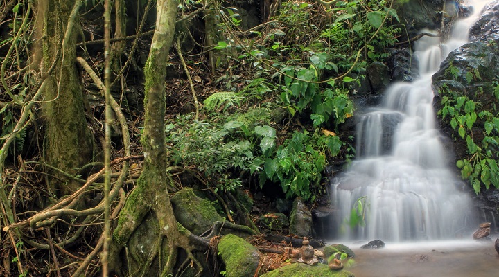 Mailum 3 Mailum Falls Ecopark and Mountain Resort