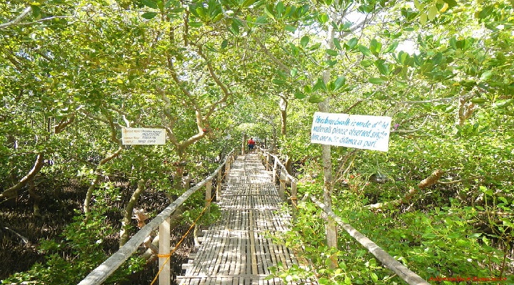Olango 6 Mambukal Mountain Resort